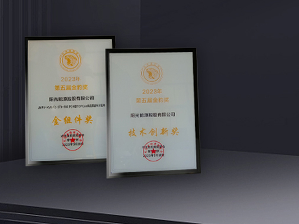 高光时刻 | pg电子游戏获N型TOPCon金组件奖及技术创新奖双料奖项