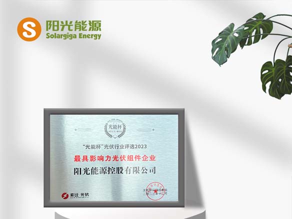 高光时刻 | pg电子游戏荣获光能杯“最具影响力光伏组件企业”称号