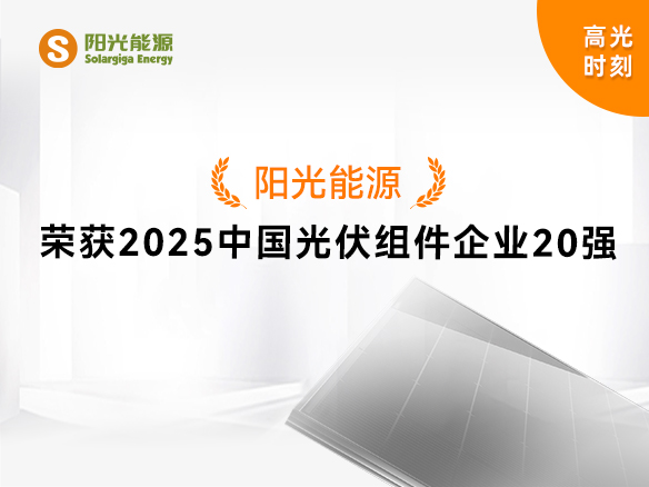 高光时刻 | pg电子游戏实力登榜“2025中国光伏组件企业20强”
