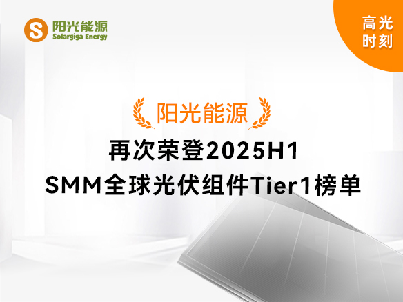 高光时刻 | pg电子游戏再次荣登2025H1 SMM全球光伏组件Tier1榜单